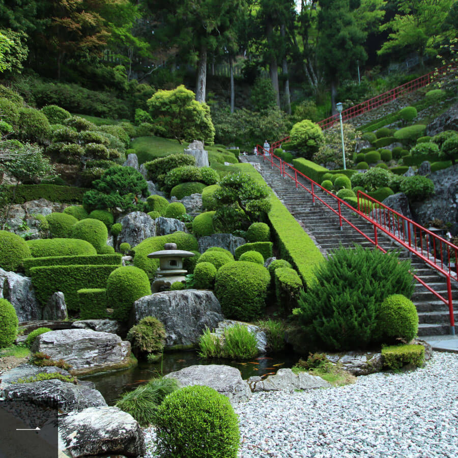 Landscape along stone steps