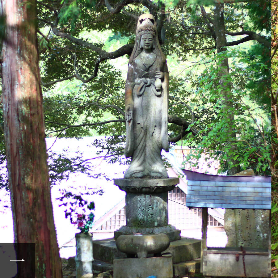 Joyous Kannon