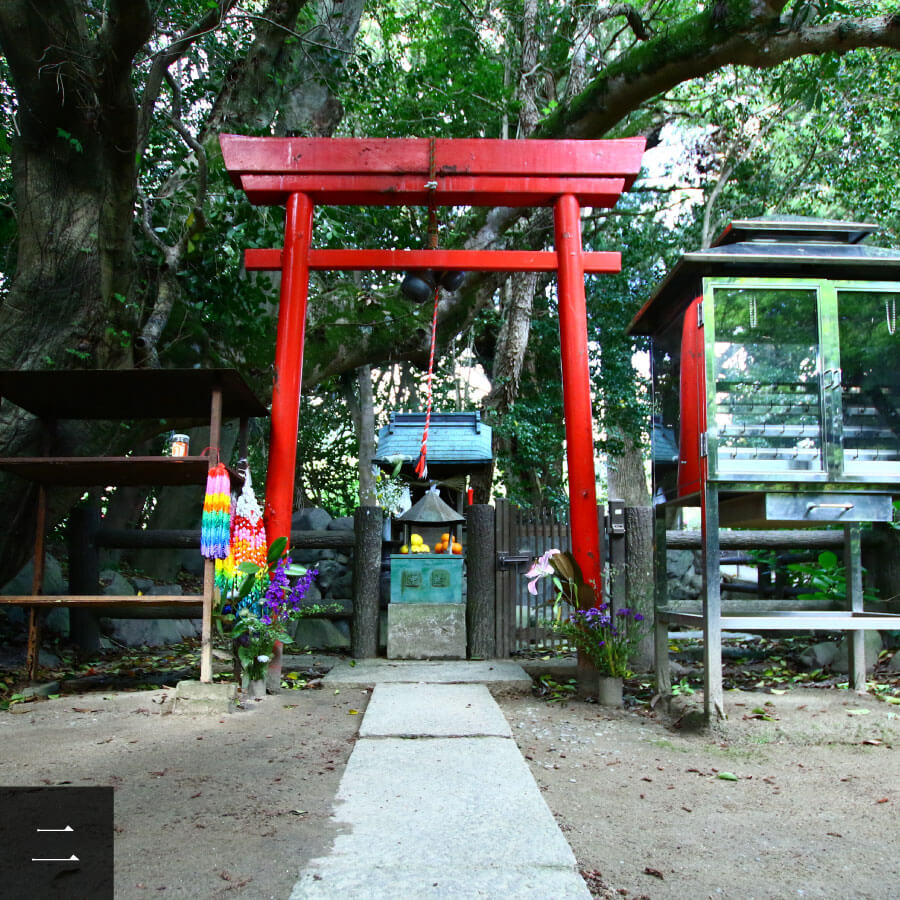 医王山 養珠院 浄瑠璃寺 一社 四国八十八ヶ所霊場会